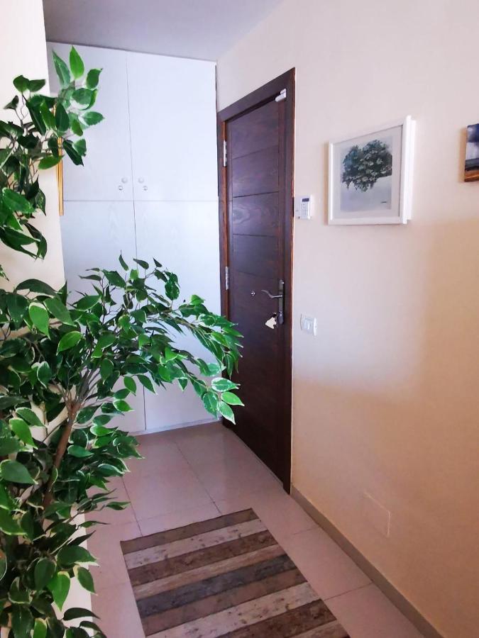 Bookinn Golf Park Sunny Cozy Apartment Near The Ocean With Large Double Terraces, Fiber Wifi, 3 Pools, Bbq Tenerife South 산미겔데아보나 외부 사진